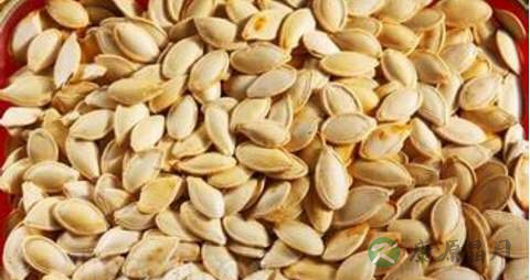 血脂高能吃南瓜子吗 血脂高能吃南瓜子吗