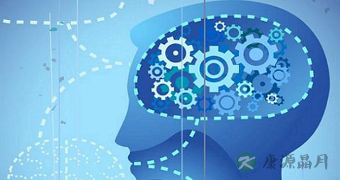 提高记忆力吃什么药