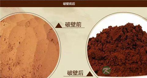 灵芝孢子粉为什么要破壁
