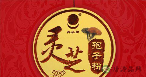 如何鉴别破壁灵芝孢子粉