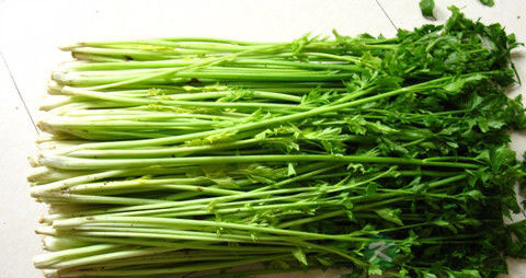 什么食物降血压