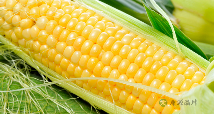 记忆力下降吃什么食物