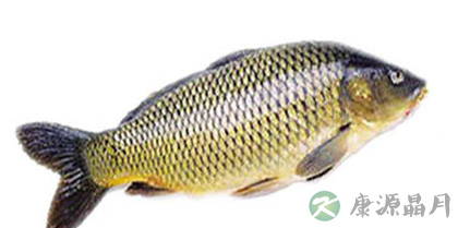 常见五大食品功效分析