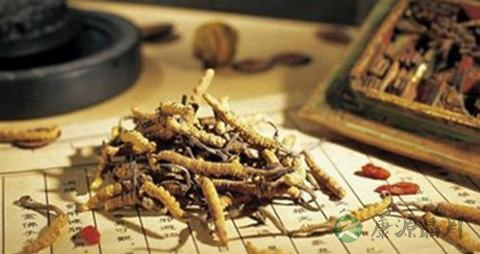 骨髓增生异常综合征饮食 骨髓增生异常综合征饮食