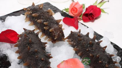 干海参怎么发 干海参怎么发