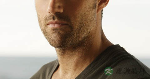 “四大名补”让你滋补一秋冬