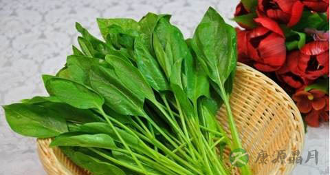 什么食物明目 什么食物明目