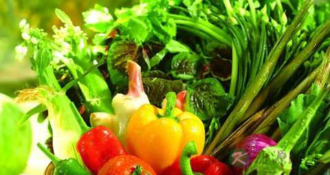 脂溢性脱发不能吃什么