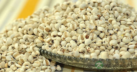 吃什么可以排湿气