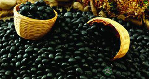 生发黑发的食物 生发黑发的食物