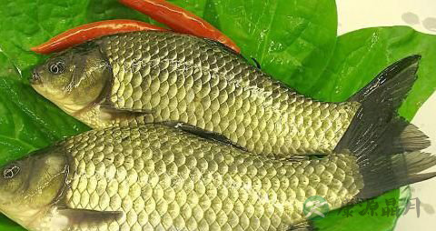 男孩发育期吃什么 男孩发育期吃什么