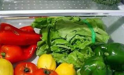 蔬菜放冰箱最好垫纸巾
