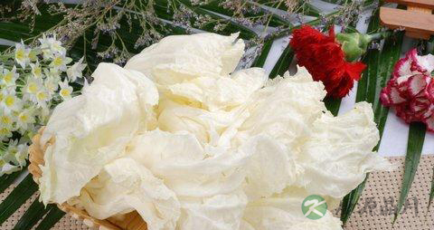 大白菜帮比叶更营养