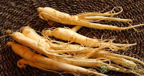 去湿气吃什么中药