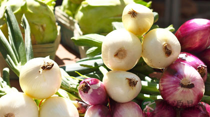 洋葱的功效与作用及做法