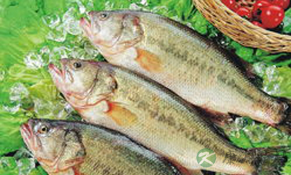 如何做酸菜鱼才健康可口 如何做酸菜鱼才健康可口