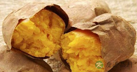 什么蔬菜最通便 什么蔬菜最通便