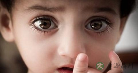 吃啥能保护眼睛 吃啥能保护眼睛