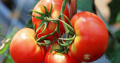 男性保健方法有哪些