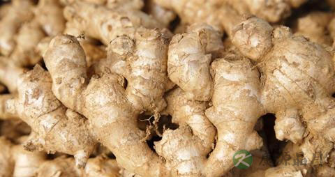 化学性脱发怎么治疗