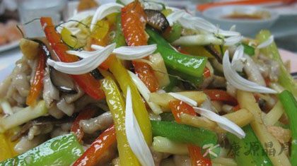 五彩炒蛇丝是哪里的菜