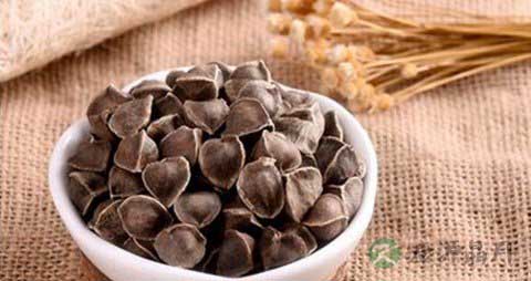 辣木籽多少钱一斤