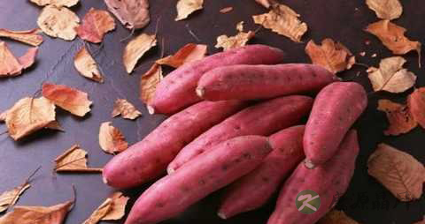 儿童便秘吃什么好 儿童便秘吃什么好