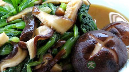 饮食护眼全攻略 有效防治眼疲劳