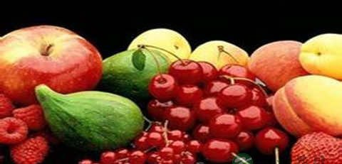 治疗贫血的食物 治疗贫血的食物