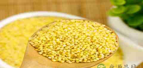 孩子吃什么提高记忆力 孩子吃什么提高记忆力