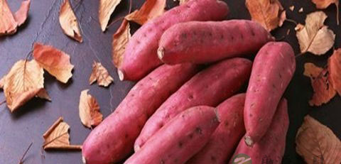 头发稀少吃什么 头发稀少吃什么