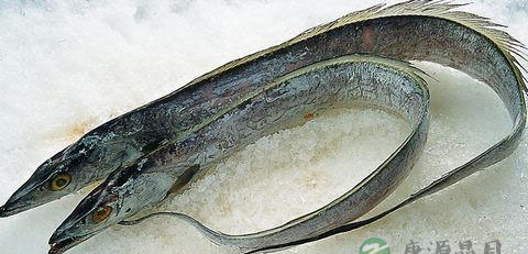 带鱼怎么洗才干净