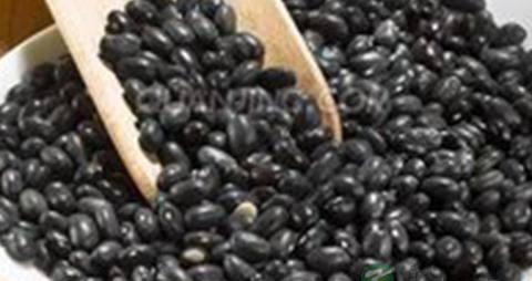 什么东西吃了生发