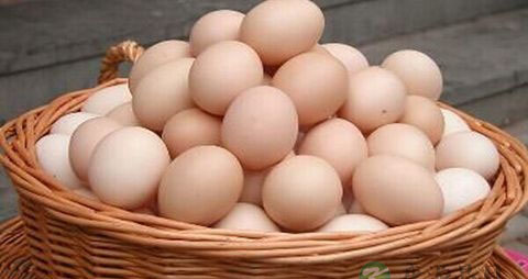 洗头发时掉头发怎么办 洗头发时掉头发怎么办