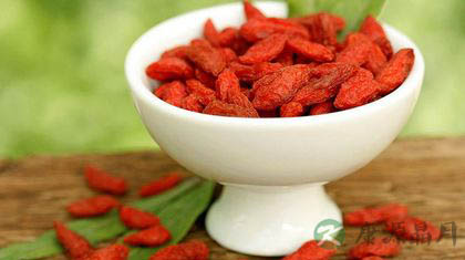 枸杞怎么吃？推荐四种养生吃法