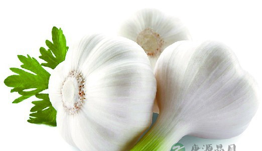 炎炎夏日多吃这些杀菌菜 炎炎夏日多吃这些杀菌菜