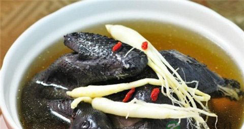 女人吃什么增强免疫力