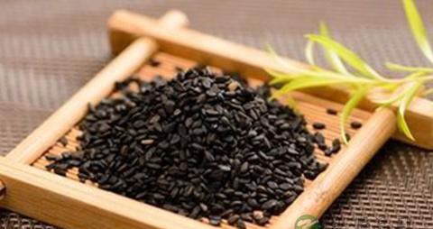 生发黑发的食物 生发黑发的食物