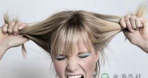 油性头发脱发吃什么 油性头发脱发吃什么