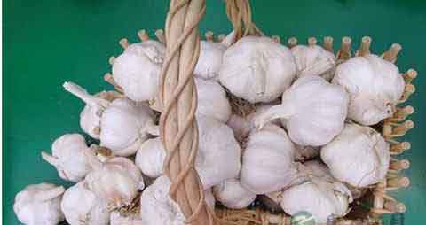 吃蒜对眼睛好吗 吃蒜对眼睛好吗