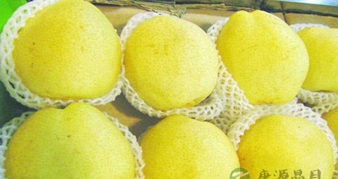 牙龈发炎吃什么水果