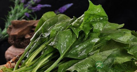 什么蔬菜吃了通便