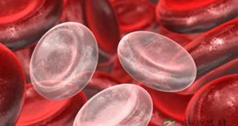 抽骨髓后吃什么 抽骨髓后吃什么