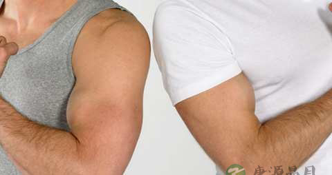 手臂骨头断了吃什么好