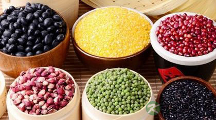 风湿吃什么食物好