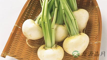 白萝卜的做法大全及功效