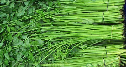 什么降血压血脂