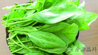菠菜的营养功效与做法