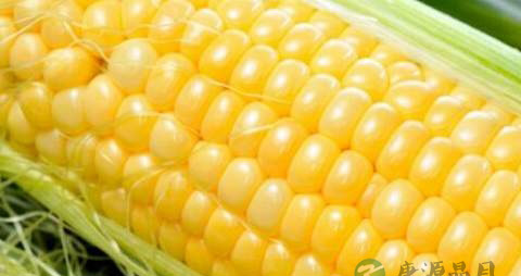 血栓不能吃什么 血栓不能吃什么