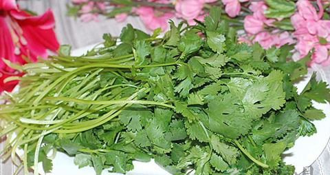 孕妇可以吃香菜吗